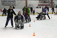 Veřejné bruslení a soutěže - slalom hadů a jiných rozličných souprav. | autor: Michal Eger